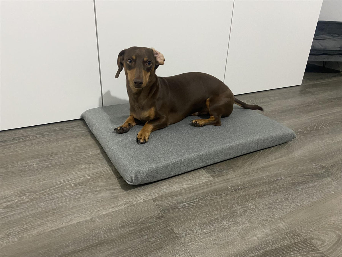 24x36 orthopedic dog bed 2025